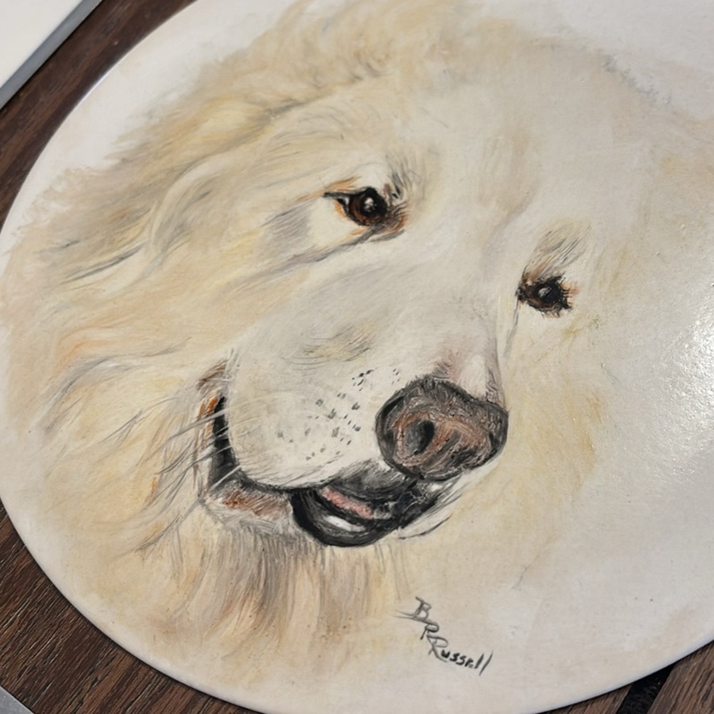 Hand painted Dog Portrait Ceramic Plate in frame